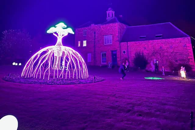 The light trail has become a festive favourite
