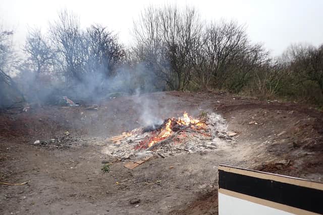 Green waste in plastic bags, laminated wood, furniture, cans, and other general waste was found.