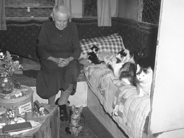 Miss Foulkes and cats, June 14, 1965
