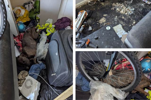 Squalor - the emaciated body of Kilo was found by an RSPCA investigator in Irthlingborough/RSPCA