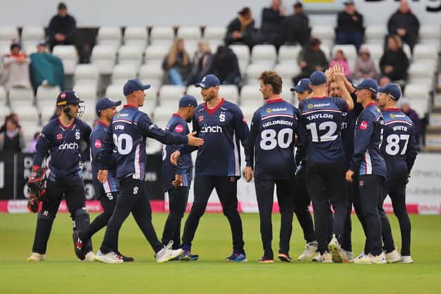 Steelbacks celebrate claiming a Bears wicket (Picture: Peter Short)