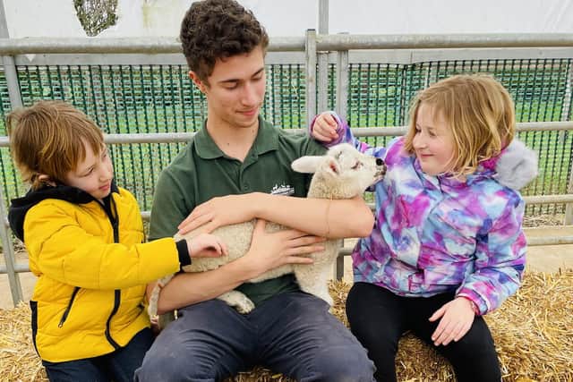 Visitors can meet the lambs at Mini Meadows every day of the week.