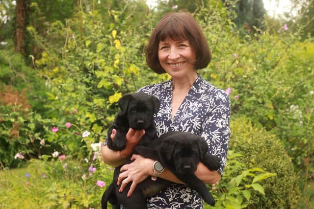 Volunteer Breeding Dog Holder Jane Kempton holding two guide dog puppies