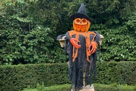Early bird tickets are now on sale for the pumpkin hunt at Castle Ashby Gardens, taking place from October 24 to November 1.