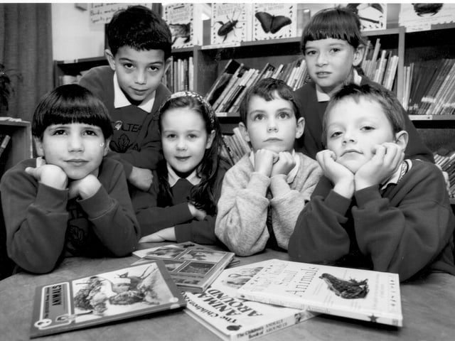 Chiltern Lower School 1993