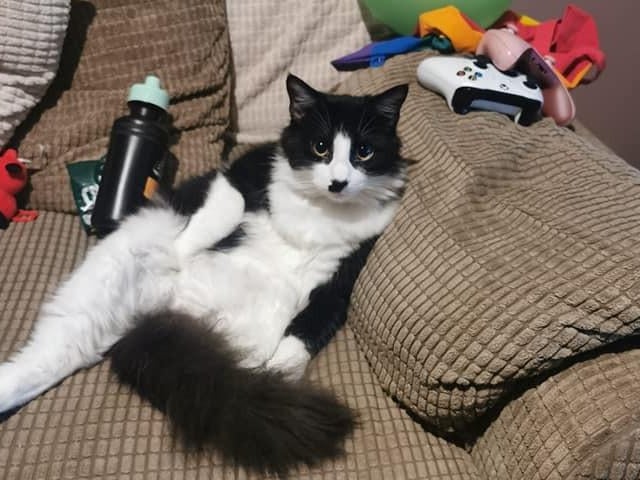 "Paint me like one of your French girls."