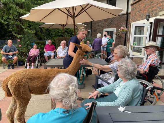 Alpacas visited care home residents in Northampton.