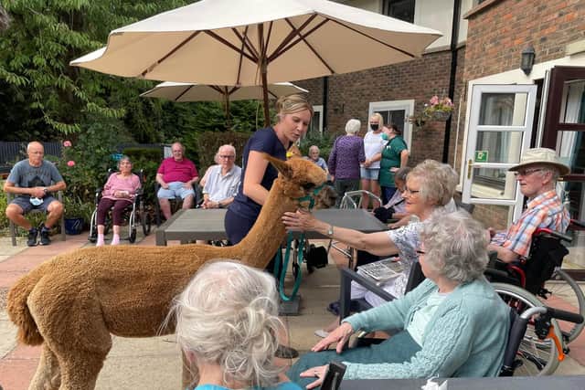 Alpacas visited care home residents in Northampton.