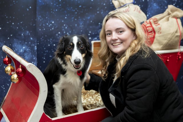 Teddy’s Dog Care, situated in Wootton, hosted a luxury Santa Paws Grotto experience for dogs on Saturday December 17, 2022.