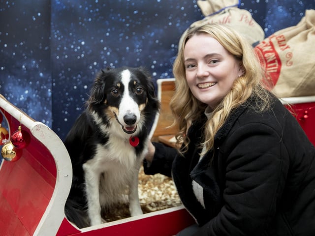 Teddy’s Dog Care, situated in Wootton, hosted a luxury Santa Paws Grotto experience for dogs on Saturday December 17, 2022.