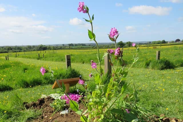 For the second consecutive year, The Windmills Natural Green Burial Ground has earned the prestigious title of ‘Best Natural Burial Ground’ in Central England.