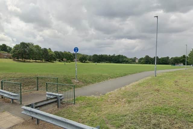 The knife was found in a Briar Hill park by litter pickers.