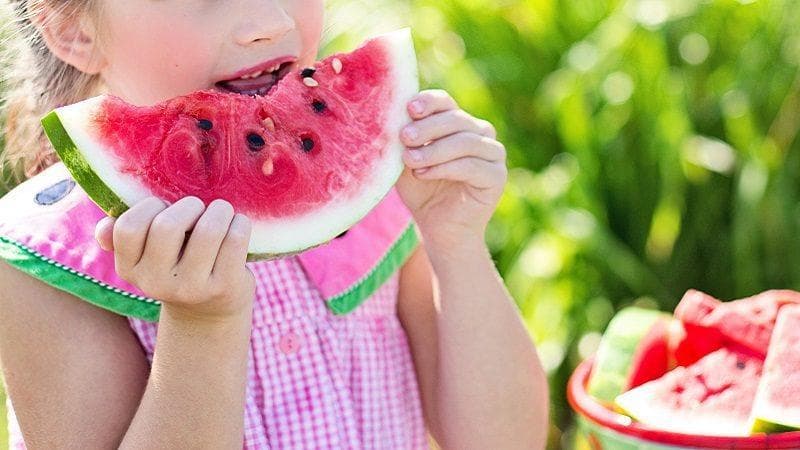 West Northamptonshire Council makes commitment to healthy food for school children and the wider community with new Food for Life contract - Vimarsana News