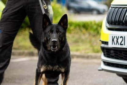 PD Pyper also joined the passing out ceremony as she has been re-licenced with a new handler.