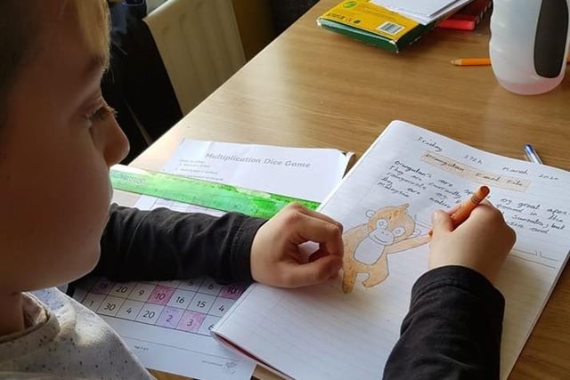 Declan, nine, from Hareside Primary School, Cramlington, creates an animal factfile.