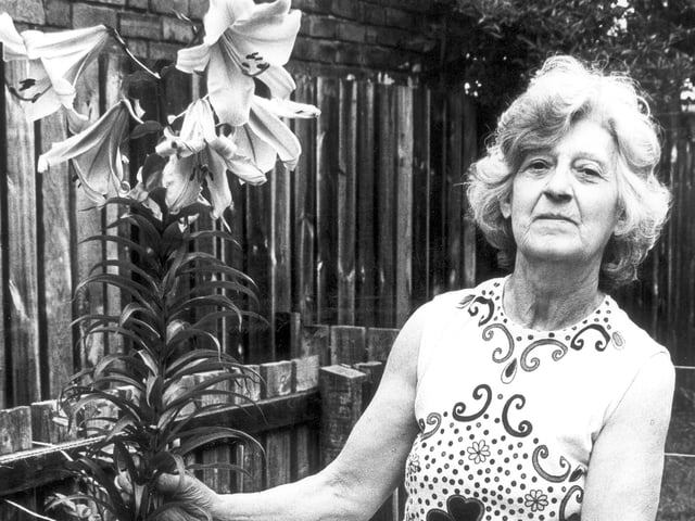 Ella Harisson with a five foot lily 1982