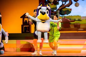 Bluey's Big Play comes to the Derngate stage next year. Photo credit: Madison Square Gardens