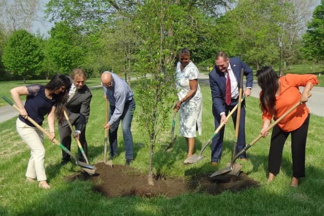 Indianapolis tree planting.