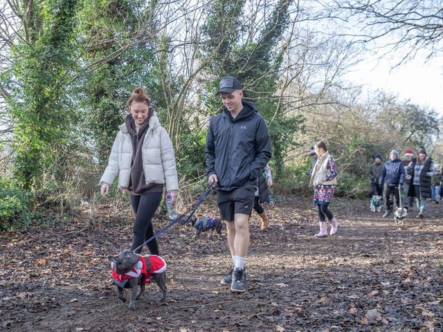 Around 60 French Bulldogs dressed in festive outfits for the annual Christmas walk at Hunsbury Country Park on Sunday December 15.