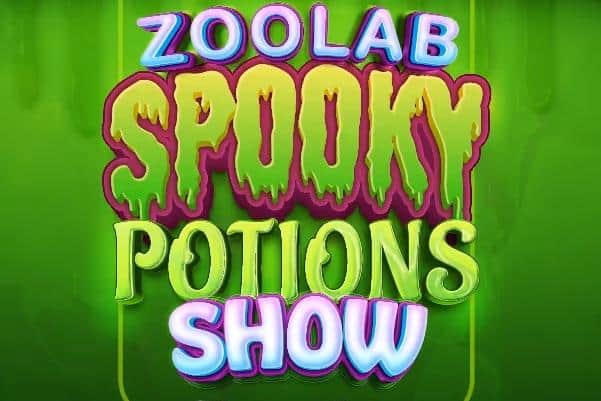Zoolab is the UK’s best provider of ethical animal handling experiences