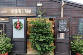 Workbridge on the Bedford road have taken delivery of their Christmas trees which will be on sale at the Christmas fair on December 9 and 10.