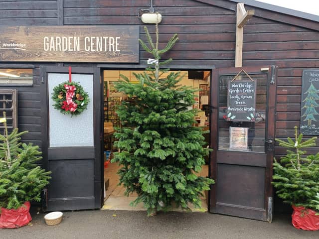 Workbridge on the Bedford road have taken delivery of their Christmas trees which will be on sale at the Christmas fair on December 9 and 10.