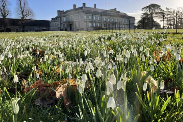 Northants Open Studios' exhibition will be hosted by Lamport Hall for two-weekends