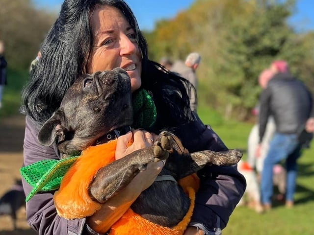 Around 50 French Bulldogs dressed up in Halloween outfits for a walk around Hunsbury Country Park over the weekend.