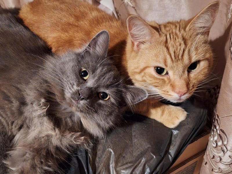 Edward and Pebble pictured.