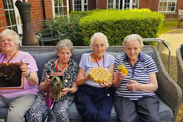 Local beekeeper Mark from Desborough at Elm Bank Care Home in Kettering with is educational talk about bees.