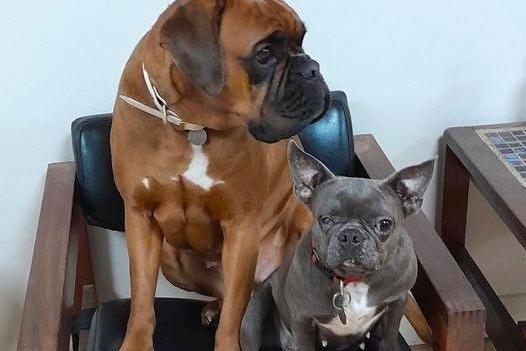 Vera and little Maddie pictured.