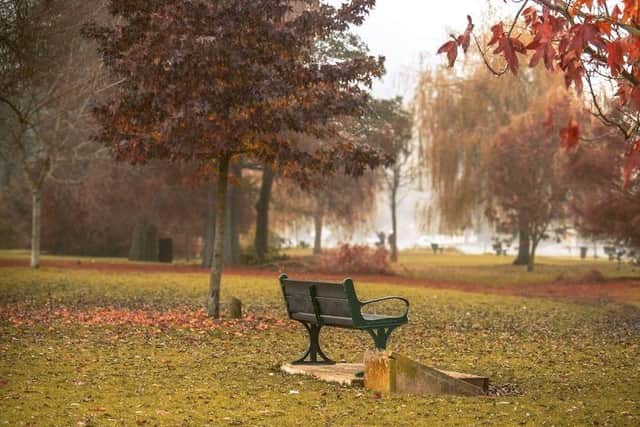 Park
