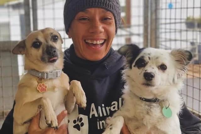 The charity helped re-home more than 400 animals during 2023
