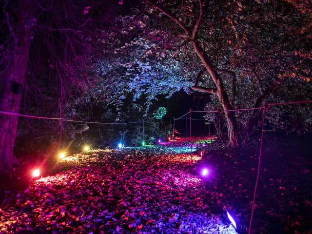 Take a look around the winter light trail, which is now open and will be until December 31.