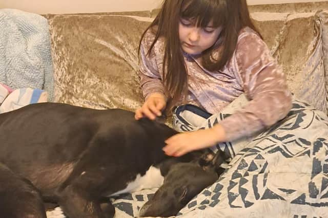 Beans has helped Ella-Mae overcome her severe phobia of dogs and they are now inseparable