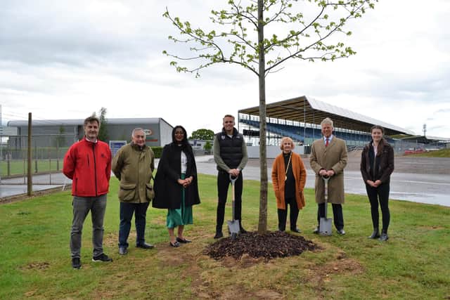 Silverstone tree planting.