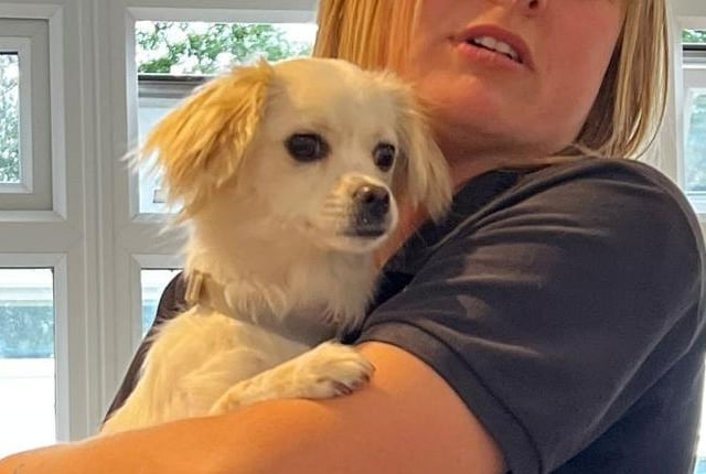 Annie said: "Hope is a precious one year old small breed lady who needs a quiet home, she is shy and needs to work on her socialisation skills."