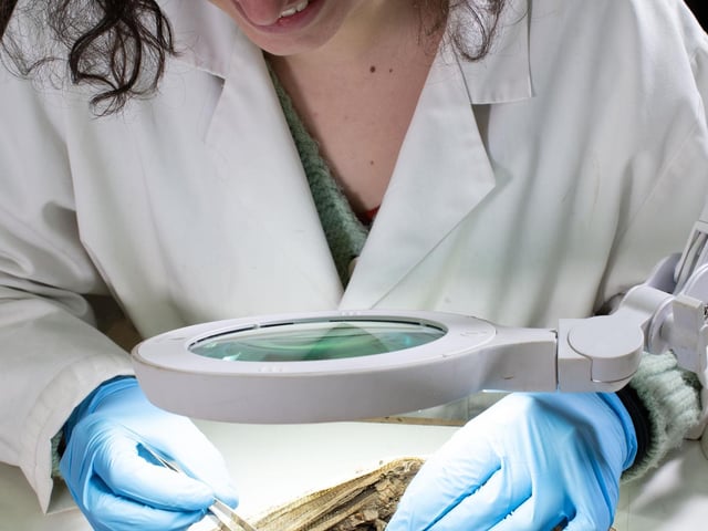 Conservator micro-excavates Harpole Burial cross