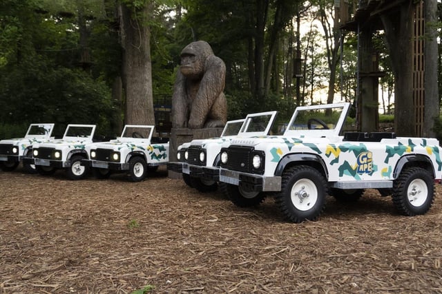 As part of the Go Ape experience at Coombe Abbey, there is a mini Land Rover experience where youngsters get to practice their rally driving skills on trails in the grounds of the abbey.
Mini Land Rovers is run as a 'walk by' service only and operates most days that the Treetops course is open.