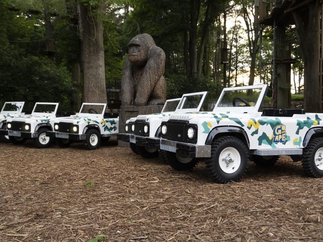 As part of the Go Ape experience at Coombe Abbey, there is a mini Land Rover experience where youngsters get to practice their rally driving skills on trails in the grounds of the abbey.
Mini Land Rovers is run as a 'walk by' service only and operates most days that the Treetops course is open.