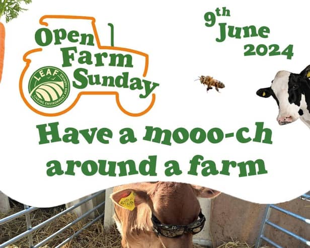 Come meet us all on Open Farm Sunday, June 9th
