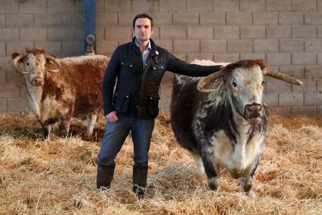 Joe Stanley, NFU county chair, with longhorn cattle