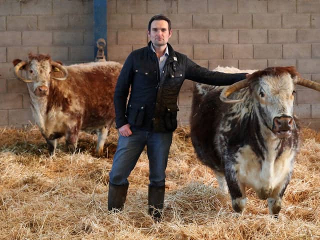 Joe Stanley, NFU county chair, with longhorn cattle