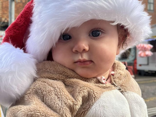Ivy, eight months old.
