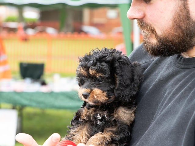 Dog owners turned up on Sunday (June 19) to Animals in Need Northamptonshire's Earls Barton Dog Show
