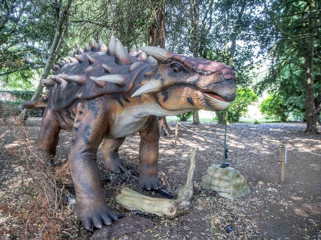 What to expect from the Dinosaurs in the Park event, which is at Delapre Abbey until Sunday September 1, 2024.