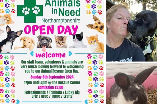 Animals In Need in Little Irchester is holding an open day on Sunday (September 8)
