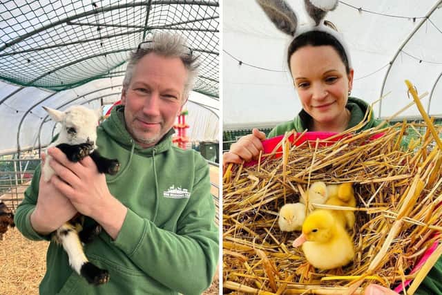 Mini Meadows Farm, on the border of Northamptonshire and Leicestershire in Welford, evolved from the owner’s hobby to an attraction that holds a special place in many people’s hearts.