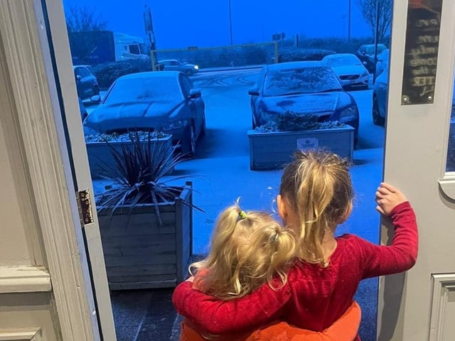 Molly and Maizie looking on and hoping they can play in the snow.