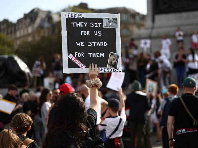 Supporters of the XL Bully dog breed hold placards during a protest against the UK Government's plans for the breed.